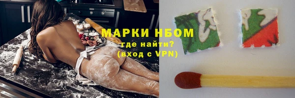 гашик Каменногорск