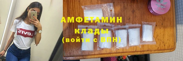 стаф Каменка