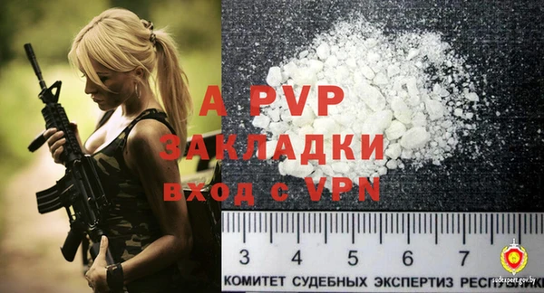 гашик Каменногорск