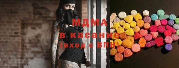 стаф Каменка