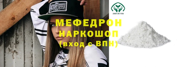 стаф Каменка