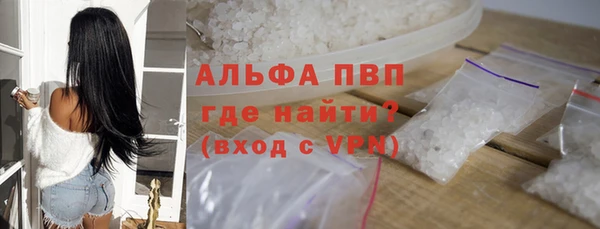 стаф Каменка