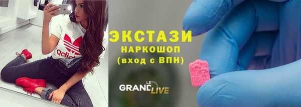 стаф Каменка