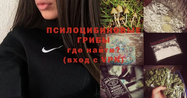 гашик Каменногорск