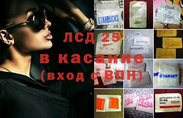 гашик Каменногорск