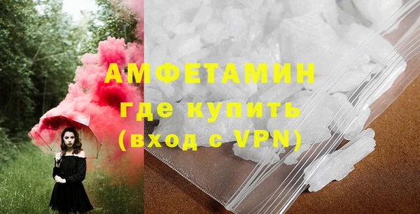 стаф Каменка