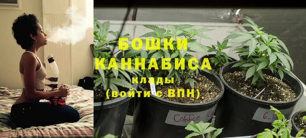 прущая мука Инсар