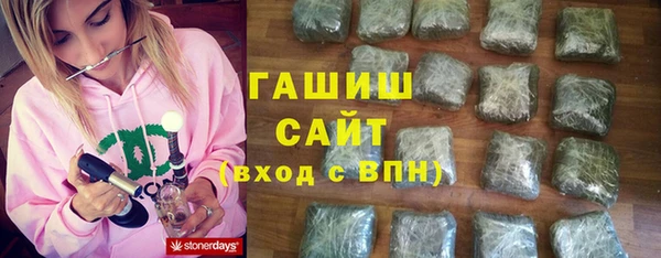 стаф Каменка