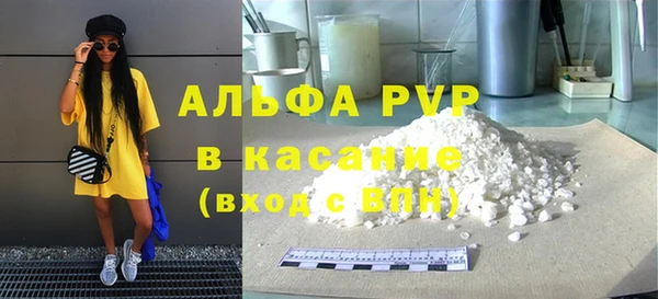 стаф Каменка