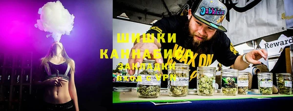 стаф Каменка