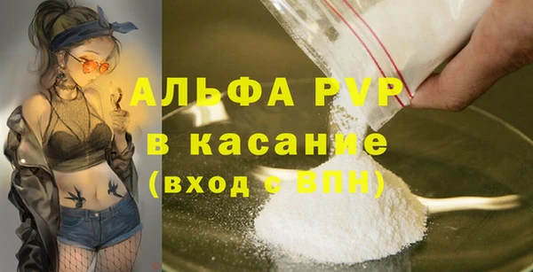 гашик Каменногорск